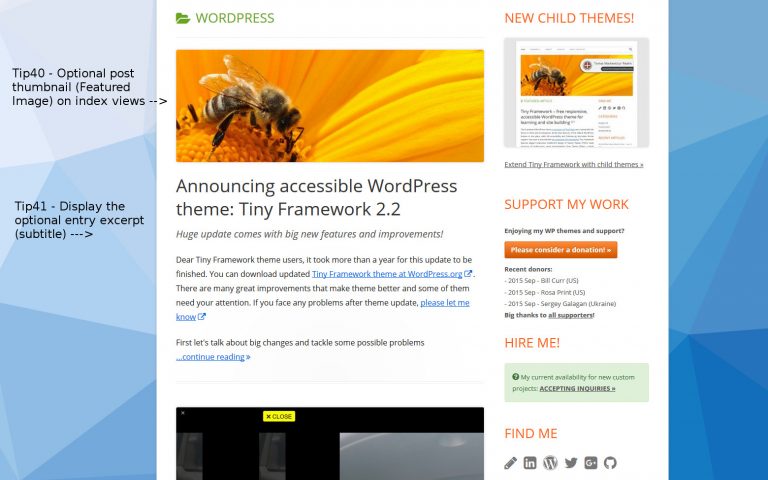 How to use Tiny Framework and its child themes: a comprehensive guide ...